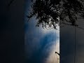 Saturday July 19 2025 Starlapse Astronomy Astrophotography Space Stars Saturday July 19 2025 Starlapse Astronomy Astrophotography Space Stars