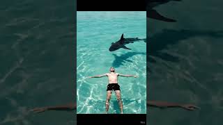 He Didn’t See the Shark Behind Him… Until It Was Too Late 😱🦈 #shorts