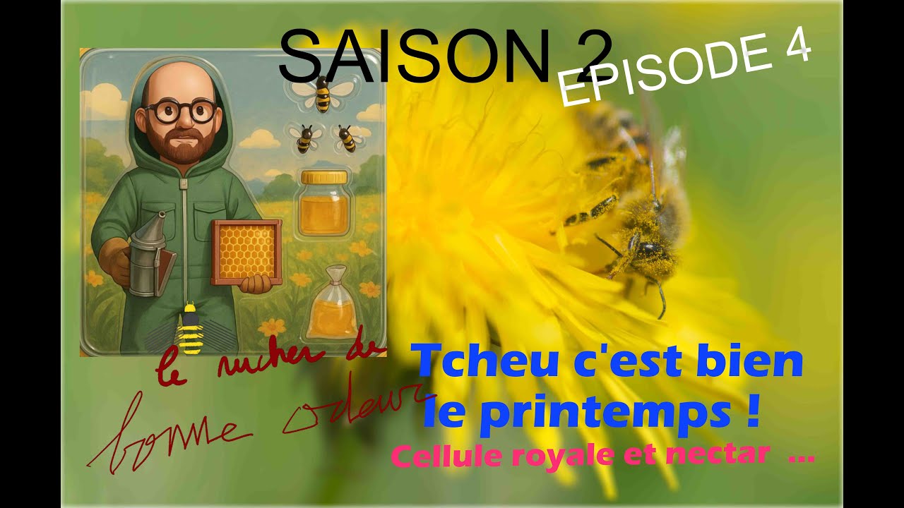 SAISON 2 EPISODE 4 Tcheu c'est bien le printemps ! Cellule royale et Nectar ...