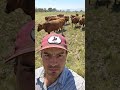 I Am Being Followed I Am Being Followed