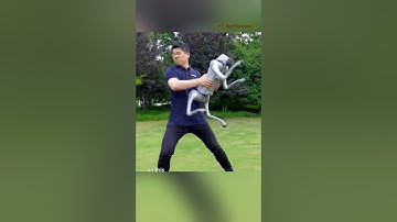 Robot dog keeps its balance in extreme training. #unitree #robots #robotdog #china #chinatechnology