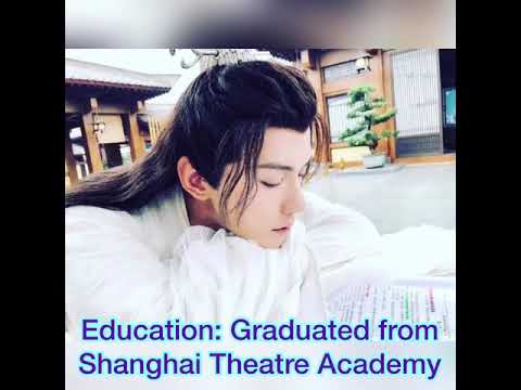 Video: Liu Xuejing Net Worth