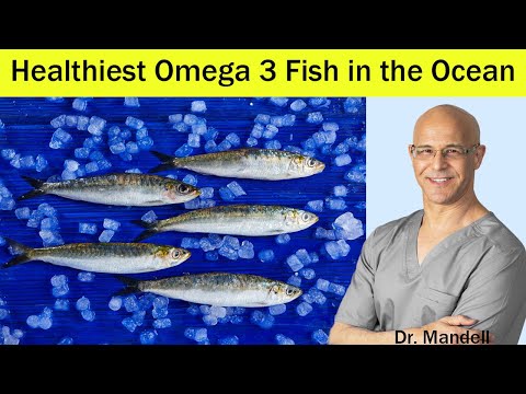 Video: Har flodfisk omega 3?