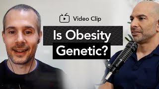 A review of the “Carnivore diet” | Peter Attia, M.D. & Stephan Guyenet, Ph.D.