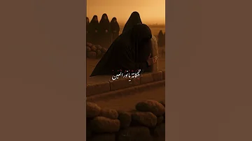 تلكانه ينور العين لايك اشتراك بالقناة الاربعينية صفر كربلاء كربلاء المقدسة Shorts يافاطمه 