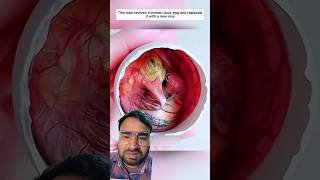 Life was extracted from a broken egg #lifeisbutadream #animals #lifeisbutadream