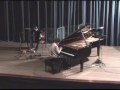 Paulinho Cardoso e Leo Ferrarini - Piano e Gaita