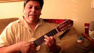 PURU RUNAS KJARKAS-DAVID ARANCIBIA-CHARANGO-mvi_8337.avi chords