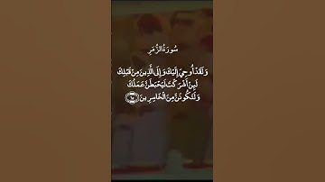 قُلْ أَفَغَيْرَ اللَّهِ تَأْمُرُونِّي أَعْبُدُ || سورة الزمر || علي جابر