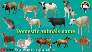 DOMESTIC ANIMALS NAME | Learn Domestic Animals Sounds and Names | Easy  English Learning Process - YouTube