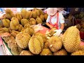 두리안 커팅 달인! AA++ 프리미엄 두리안 커팅 스킬 / Premium Durian Cutting | Thailand Street Food