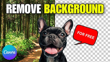 How To Remove Background In Canva (FREE)