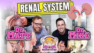 Renal System | Overview