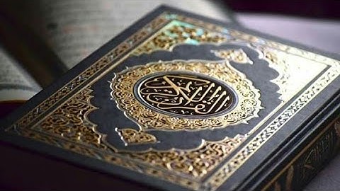 سوره نوح تلاوه هادئه ||بدر محمد