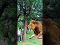 ￼yaar Tera Hero khalnayak ho gaya tree se bahar nikalne wala #trendingshorts #viralvideo #funny￼