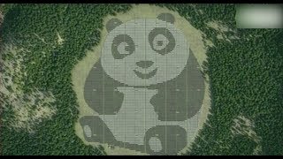 World's First Panda Shaped Solar Power Plant to Begin Operation in August