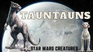 Tauntaun | Star Wars Creatures