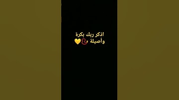 قران كريم بصوت الشيخ فارس عباد#قران_كريم #اكسبلور #لايك #تيك_توك #راحة_نفسية