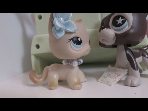 Littlest Pet Shop: Coldhearted (Season 1, Episode 7: "Making a Move")
