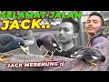 JACK KESEPIAN, DITINGGAL PEMILIKNYA SELAMANYA..??