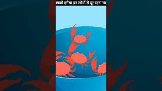 Brishtisamaddar Full Y Video Hot Video Trending Shorts Viral Shorts