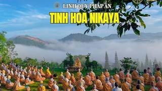 Tinh Hoa NIKAYA - 32 Tướng Hảo Của Đức Phật 1 *
