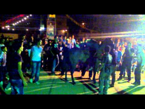 ياخيال الزرقة يا ولد وصعيدي نار حفلة اريحا افراح ائل جوده مع الفنان الشعبي حموده وعبدالله حنون2011 