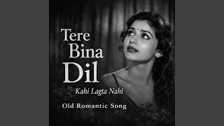 Download Lagu Tere Bina Dil Kahi Lagta Nahi MP3
