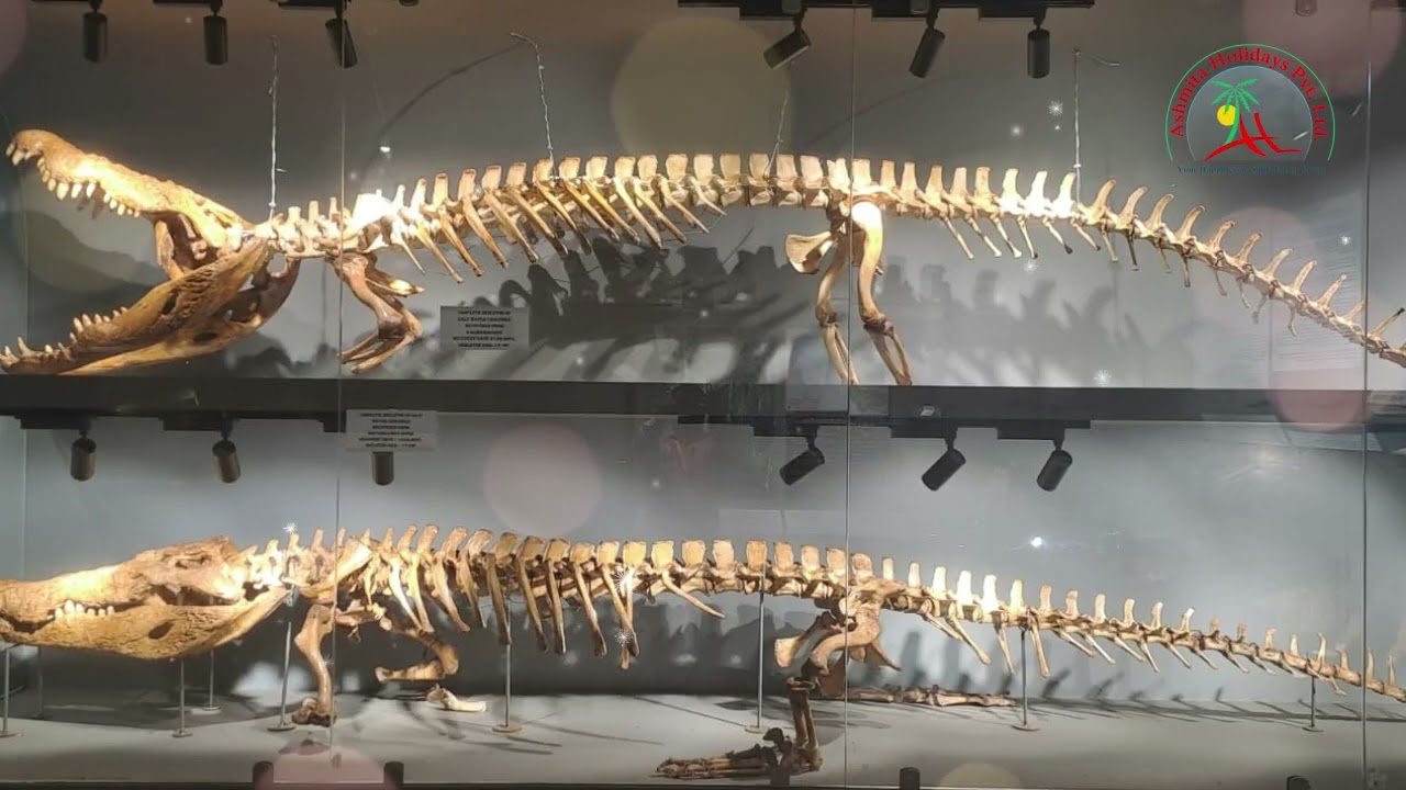 50 Pax Visited BhitaraKanika National Park With Us 🙏