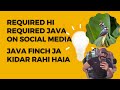 Java Finch Future