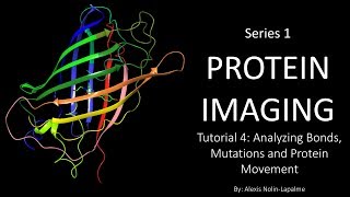 Protein Imaging - Analyzing Bonds, Mutations and Protein Movement (Tutorial 4)