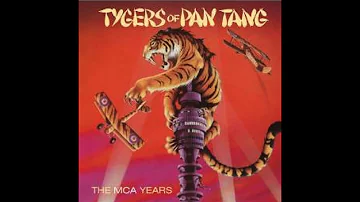 Tygers of Pan Tang the MCA Years Review