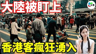攤牌喇！香港人組團，嚟大陸搶房啦！買房好似買餸！港車北上，月均超11萬次！大陸房，究竟值唔值得買？仲有無投資價值？