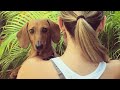 Woman adopts blind dog. Things don