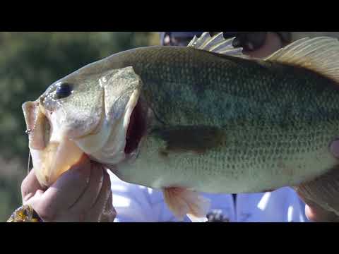 Black Bass in belly boat - Strategie e tecniche autunnali (Herakles)
