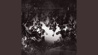 A Treatise on Control