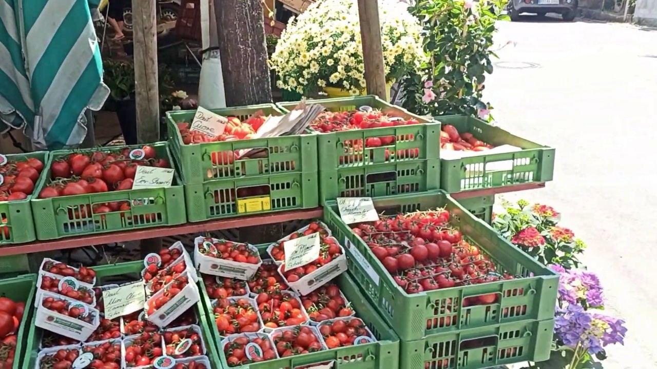 Walk around Hildrizhausen in Germany