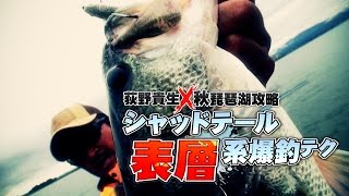 【ノリーズ】荻野貴生☓秋・琵琶湖攻略　シャッドテール表層系爆釣テク