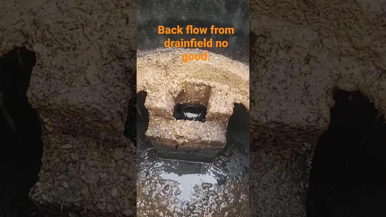 drainage field failure.. back flow...