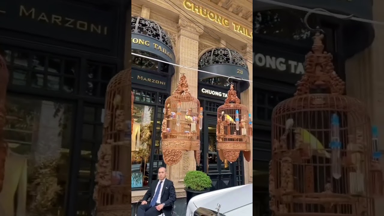 after thought, a miserly/stingy and compromised professional duo 🙃🤣