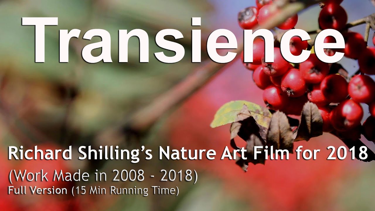 Transcience Art Transience 2018 (Richard Shilling's Nature Art from 2008-2018) Full ...