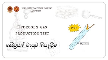 හයිඩ්‍රජන් වායුව නිපදවීම | PCC Science society