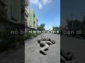 Hố đen xuất hiện và rắn khổng lồ bò lên sau đó.#giaitri #shortvideo #funny