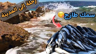 من الريف اللبنانيجمعنا الجبل والبحر بفيديو واحد!!التسوق بأسواق طرابلس الشعبية،اشترينا سمك طازج
