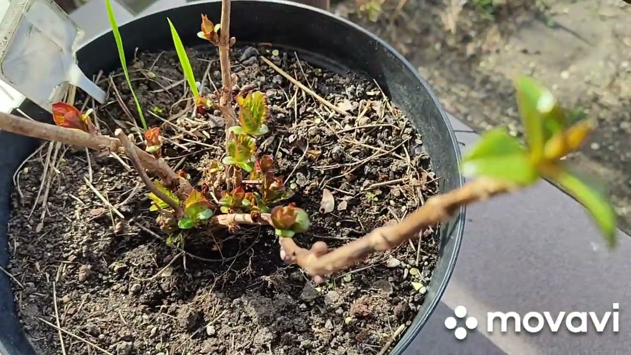 Отвечаю на ваши вопросы 