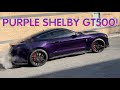 WORLD’s 1st Purple 2020 Shelby GT500! *THANOS is Here!