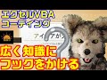 エクセル VBA コード記述 知識にフックをかける! プログラミング