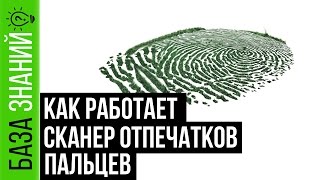 Как работает Сканер Отпечатков Пальцев (Touch Id) | База Знаний