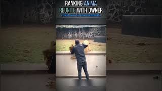 This is the funniest compilation of the week—epic fails, silly moments, and pure chaos   (23)