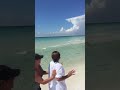 Seagull saved from fishing line